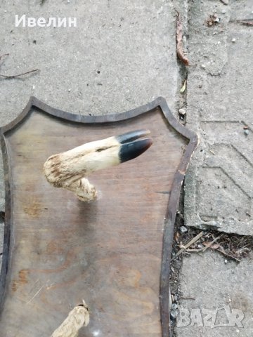 стара закачалка за стена, снимка 3 - Антикварни и старинни предмети - 29197665