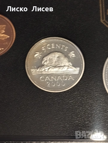 Канада сет мат-гланц 2000г., снимка 15 - Нумизматика и бонистика - 54289831