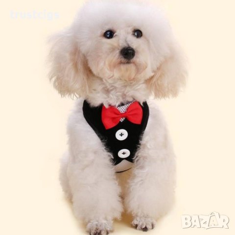 Нагръдник с каишка за домашен любимец S, снимка 4 - За кучета - 44483722