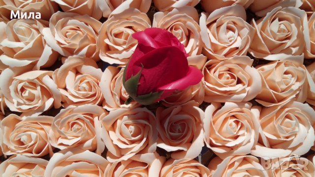 Сапунени рози, снимка 8 - Изкуствени цветя - 35947886