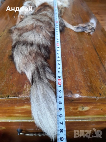 Стара кожа,яка от лисица #2, снимка 6 - Други ценни предмети - 54081281