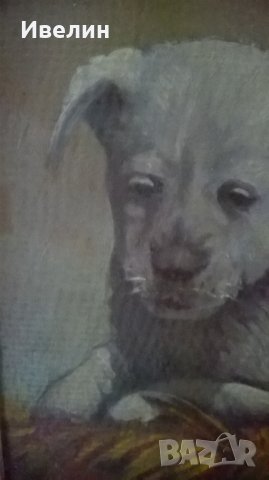 стара картина-коте и куче на дончо владков, снимка 3 - Картини - 30542181