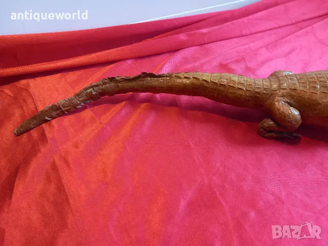 Препариран КРОКОДИЛ, Кайман, снимка 4 - Антикварни и старинни предмети - 48232689