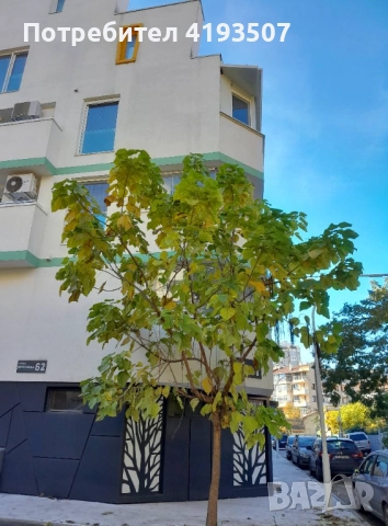 2-стаен, снимка 1