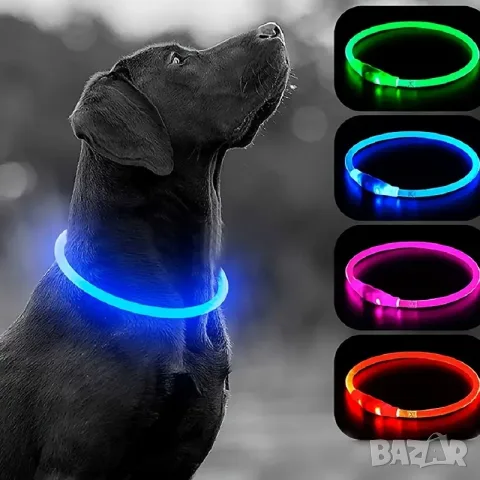 Електронен Светещ LED нашийник за куче с USB зареждане (3 размера и цветове)