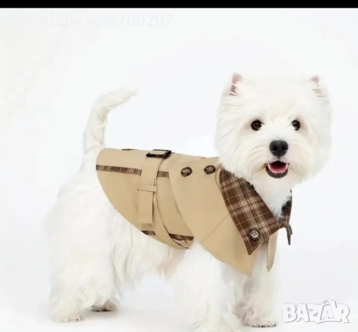 Дрехи за мини порода куче, снимка 1