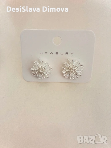 Дамски посребрени обеци