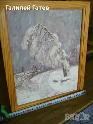 Стари Маслени Картини, снимка 16 - Картини - 47920598