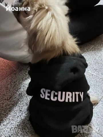 Кучешка дрешка, снимка 4 - За кучета - 49158035