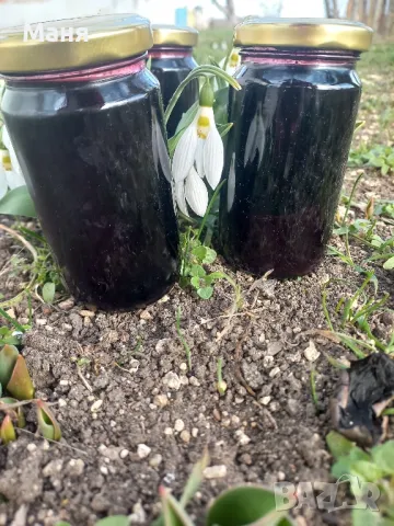 Черен бъз с мед, снимка 2 - Домашни продукти - 49200288