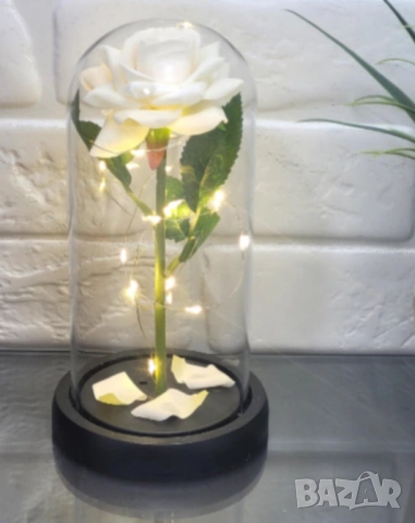 Бяла роза под стъклен купол - Вечна елегантност