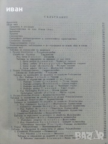Фауната на България Том 20 част 1 - С.Симеонов,Т.Мичев,Н.Нанкинов - 1990г., снимка 3 - Енциклопедии, справочници - 36783010