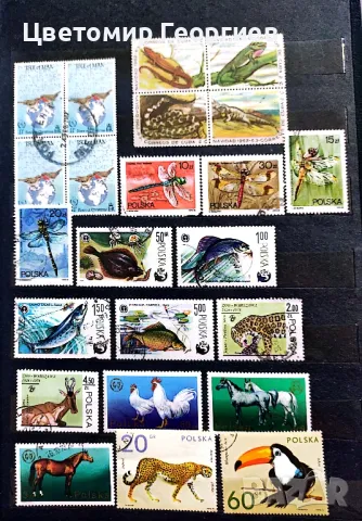 Животни 227 бр. К.2, снимка 4 - Филателия - 48274143