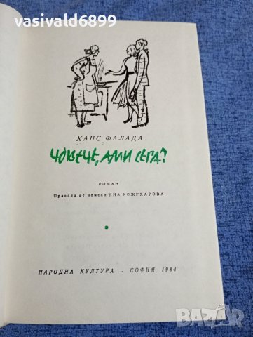 Ханс Фалада - Човече, ами сега?, снимка 4 - Художествена литература - 42478280