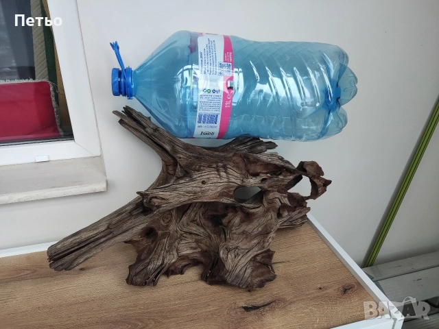 Голям мангров корен, снимка 4 - Оборудване за аквариуми - 53931517