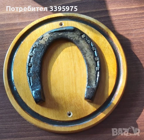 Истинска антик стара подкова е разкопана в село Боженци