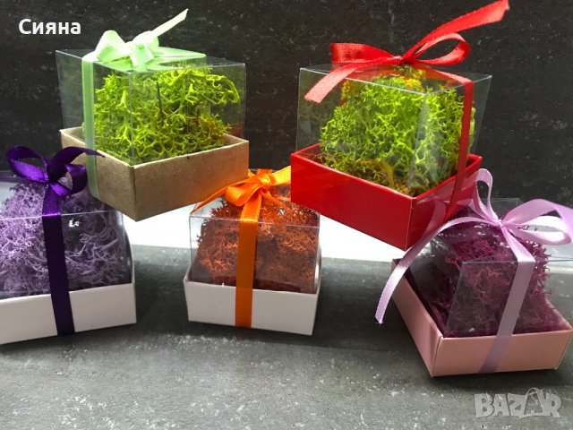 Кутийка със скандинавски мъх