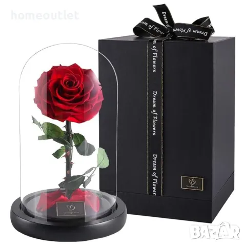 Вечна роза “Красавицата и звяра”, сувенир, снимка 1