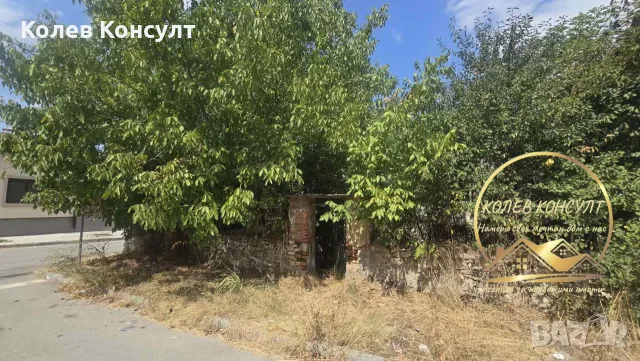парцел със стара къща Димитровград,кв.Черноконево, снимка 7 - Къщи - 56069599