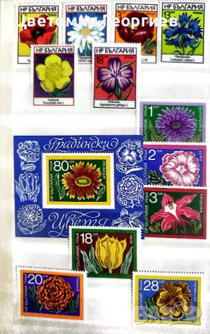 Класьор с марки 284 бр., снимка 6 - Филателия - 48119407