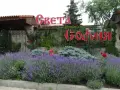 гр.Созопол , двустаен , до плаж и гора, снимка 3