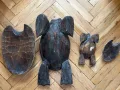 Дървени декорации Костенурки пепелник, снимка 9