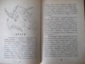 Книга "Книга за малкитѣ българчета-А.Каралийчевъ" - 100 стр., снимка 4