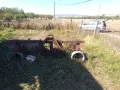 Продавам браздилник , снимка 2