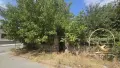 парцел със стара къща Димитровград,кв.Черноконево, снимка 7