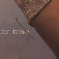 Грамофонна плоча- Neoton Família, снимка 2 - Грамофонни плочи - 38464015