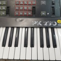 Йоника, синтезатор, клавир Hohner PK 250 midi , снимка 6 - Синтезатори - 31826264