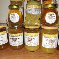 Чист мед от Врачанския балкан , снимка 1 - Пчелни продукти - 39582898