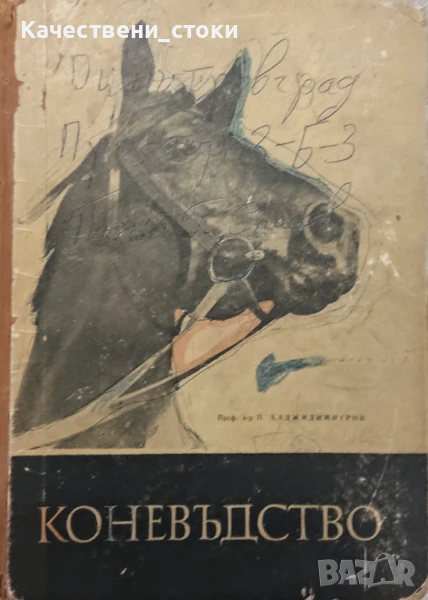 Коневъдство , снимка 1