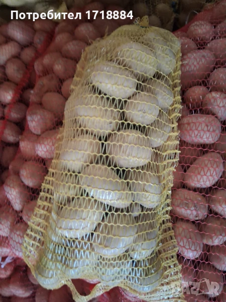 Картофи Сорая, снимка 1