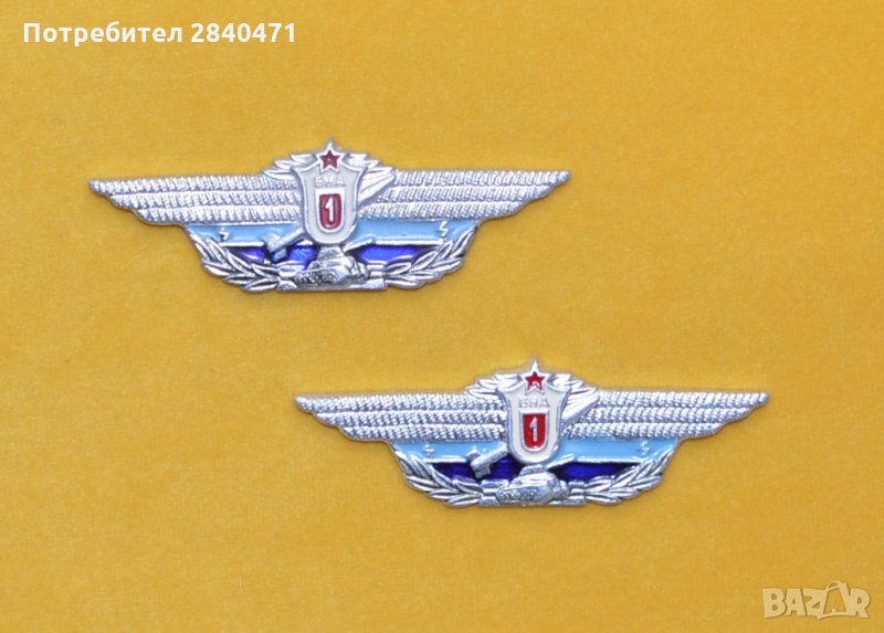Значки за класна специалност в БНА , снимка 1