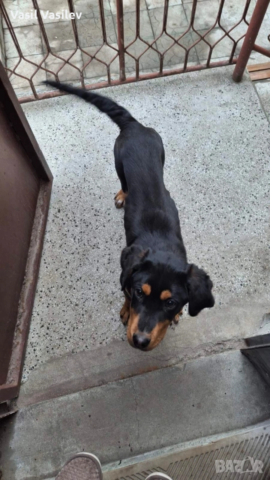 Подарък, снимка 1