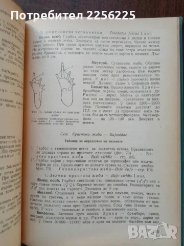Ръководство за практически занятия по зоология на гръбначните животни, снимка 4 - Специализирана литература - 50440615