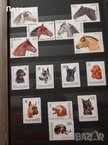 Богата колекция от пощенски марки от цял свят , снимка 9 - Филателия - 35470504