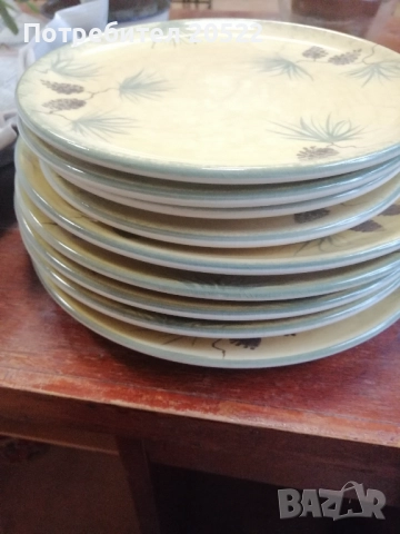 Красиви чинии , снимка 2 - Чинии - 52014719