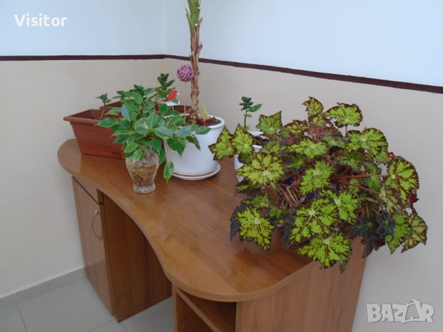 Sony Cyber-shot DSC-W800   20.1МРх, снимка 15 - Фотоапарати - 52805253