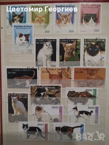 Класьор с марки /котки / 147 бр., снимка 4 - Филателия - 56504433
