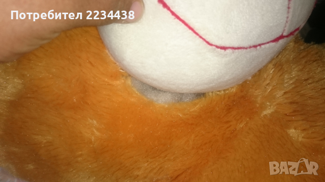 Голямо плушено мече, снимка 5 - Други - 36554490