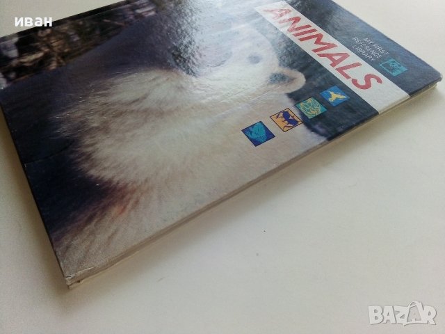 Детска енциклопедия "Animals -my first reference library" - 1994г., снимка 11 - Детски книжки - 42524605
