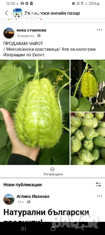 продавам чайот