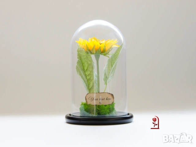 Вечен Слънчоглед в Стъкленица със Скандинавски Мъх / Подарък със Символика за Щастие и Дълголетие, снимка 4 - Подаръци за жени - 54060102