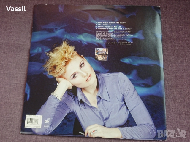 maxi C+C Music Factory Haddaway KOTO erasure YELLO Sandra B. Gilberto SNAP Intro Disco, снимка 2 - Грамофонни плочи - 34165254