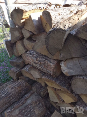 Дърва за огрев на изгодна цена (Пчелина, Варна), снимка 2 - Дърва за огрев - 54132141