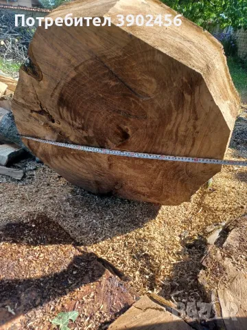 орех за дървен материал , снимка 3 - Други - 50399628