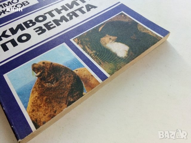 Животните на Земята - Димо Божков - 1983г., снимка 7 - Други - 38451061