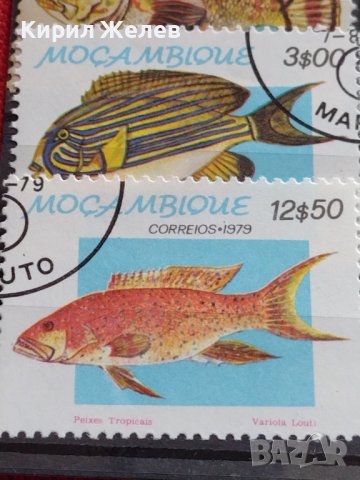 Пощенски марки смесени серий РИБИ,ГЪБИ редки за КОЛЕКЦИЯ 33346, снимка 3 - Филателия - 40422601